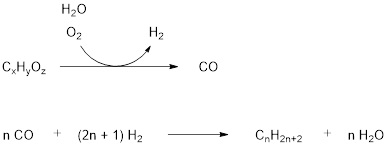 バイオマス由来のガスを原料とする飽和炭化水素