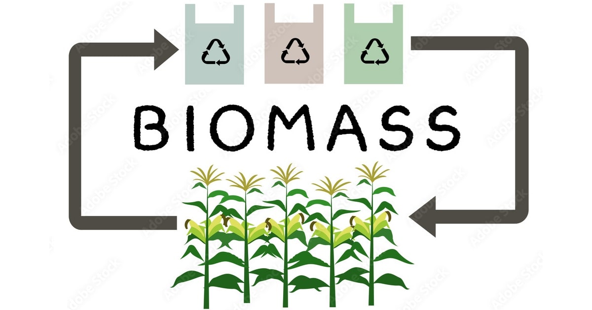 バイオマスプラスチック