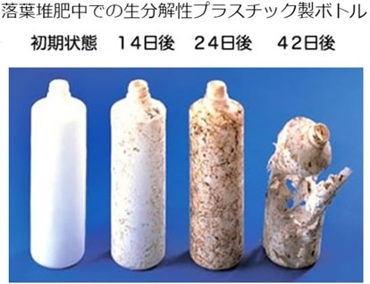 落葉堆肥中での生分解性プラスチック