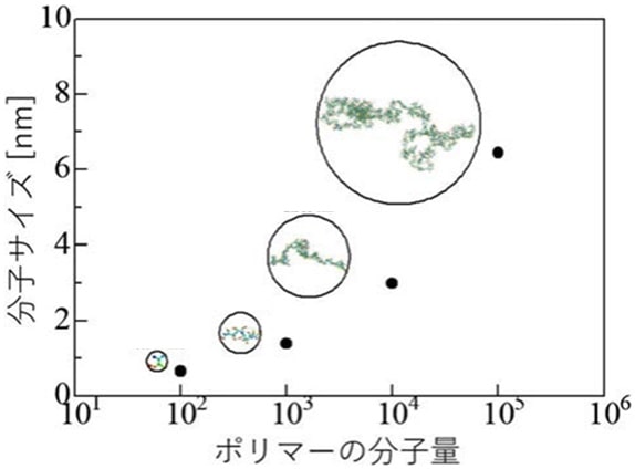 高分子レジストの分子量と分子サイズの関係