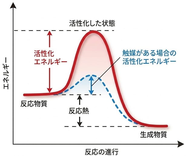 エネルギーダイアグラム